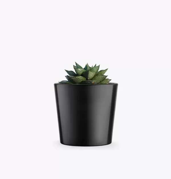 product-image-3_optimized Odio Pellentesque